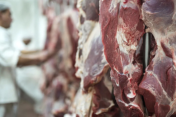 Frigorifico-industria-carne-faena-vacuna