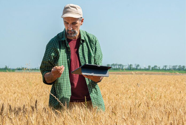 agrotoken-banco-santa-fe-tecnología