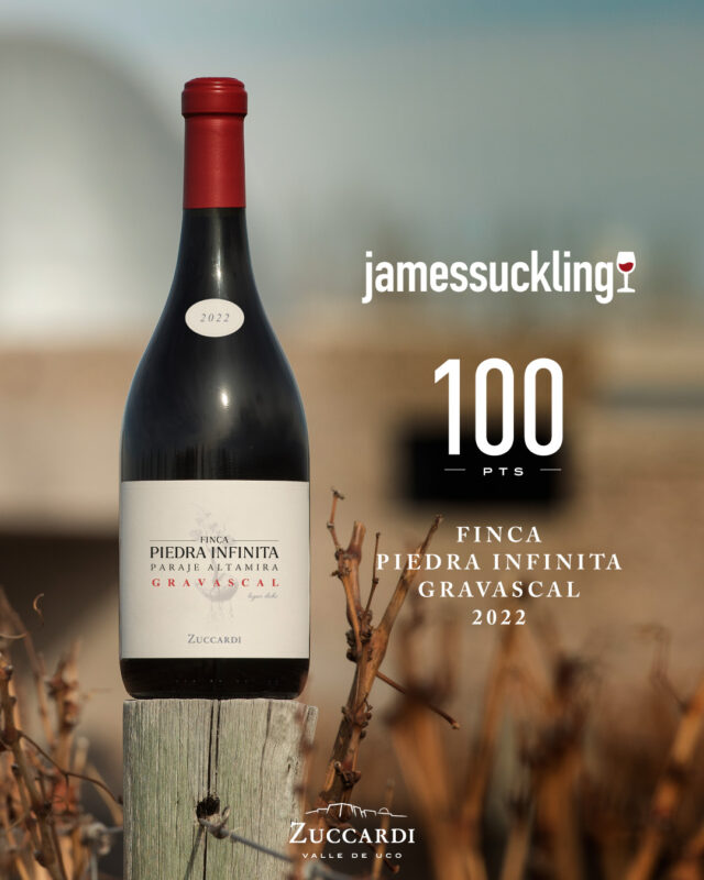 Unico vino argentino con 100 puntos