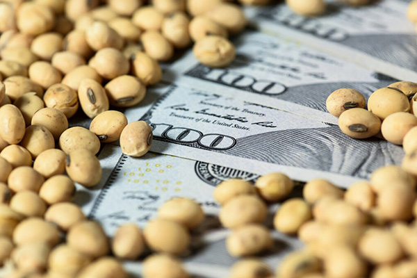 agro-exprtacion-mercado-soja-cpsecha La agroexportación ingresó U$S 3.054 millones en Mayo