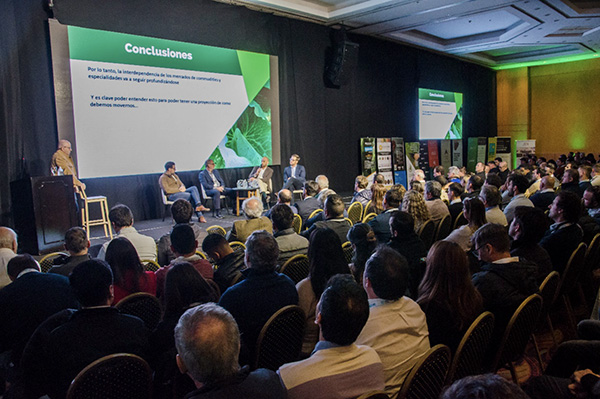 argentina-legumbres-futuro+desafios El futuro de las legumbres en Argentina: Desafíos y oportunidades en un mercado globalizado