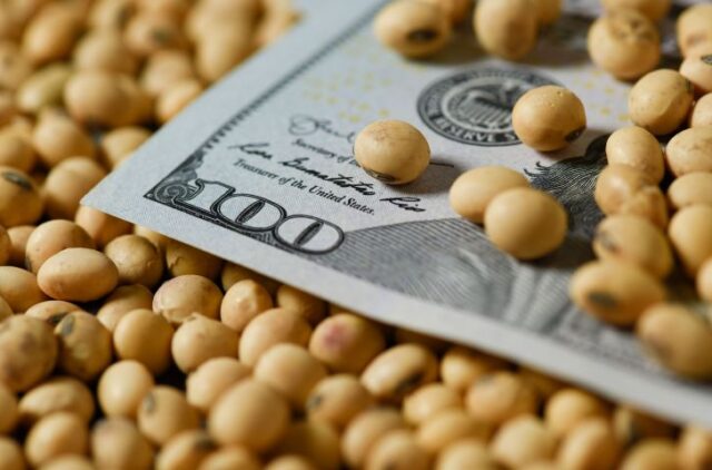 agro-exportacion-divisas-dolares La agro exportación ingresó u$s 3.706 millones de dólares en junio