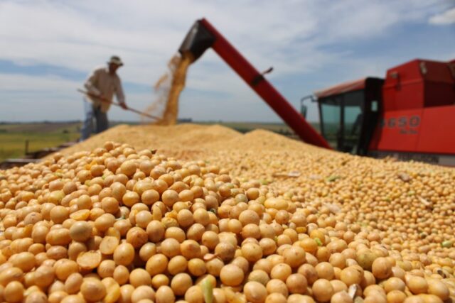 soja-1024x683 La agro exportación ingresó u$s 760 millones de dólares en noviembre