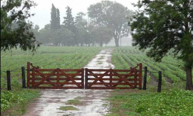 Lluvia-campo-julio El julio más lluvioso de los últimos 40 años y cambios en retenciones, ¿más hectáreas o más tecnología?
