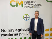 El maíz rompió los límites de lo agronómico en la Pampa semiárida El maíz rompió los límites de lo agronómico en la Pampa semiárida