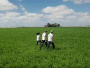 Innovación con impacto para transformar la salud y el agro en Cono Sur Innovación con impacto para transformar la salud y el agro en Cono Sur