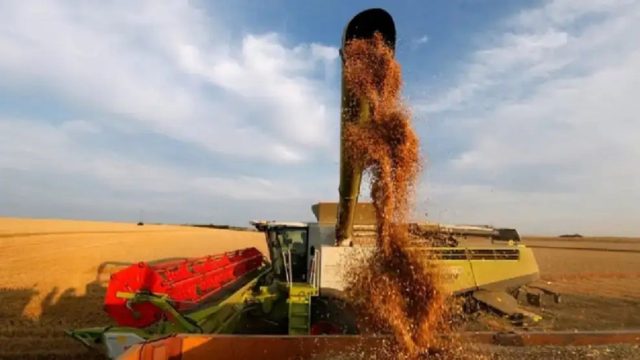 Alivio con sabor amargo: el agro cuestiona la eliminación temporal de retenciones