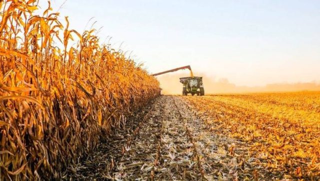 fuera-del-negocio-de-la-baja-de-retenciones Los productores, otra vez fuera del negocio de la baja de retenciones
