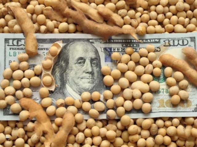 soja-La-agroexportación-ingresó-USD-1.818-millones-en-Agosto La agroexportación ingresó USD 1.818 millones en Agosto