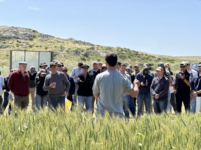 nidera-potencia-genetica-semillas Nidera mostró en Tandil el potencial de su genética