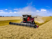 Massey Ferguson renueva su rol como cosechadora oficial de Expoagro 2026 Massey Ferguson renueva su rol como cosechadora oficial de Expoagro 2026