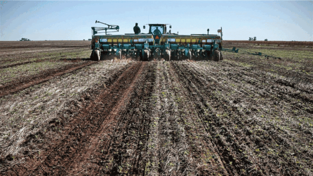 Máximo histórico de la actividad de la cadena agropecuaria