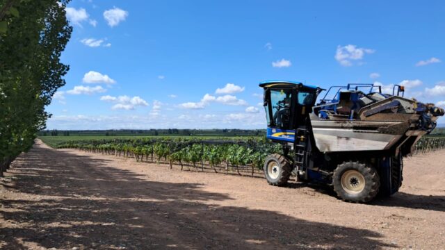 6980ba771c266346fb4c70c6 Catena Zapata potencia la vitivinicultura argentina junto a New Holland