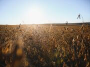 La Segunda Seguros participa de un seguro agrícola inédito en el país, impulsado por la Provincia de Córdoba La Segunda Seguros participa de un seguro agrícola inédito en el país, impulsado por la Provincia de Córdoba