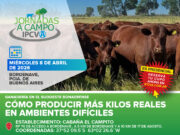 8 de abril: Jornada a Campo del IPCVA en Bordenave, Provincia de Buenos Aires 8 de abril: Jornada a Campo del IPCVA en Bordenave, Provincia de Buenos Aires