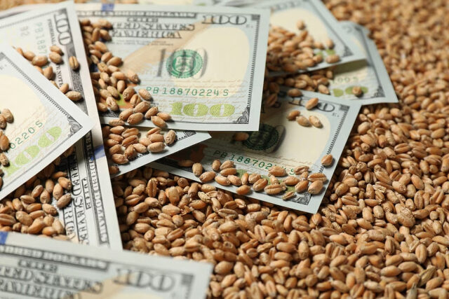 Grano-dolares La actividad de la cadena agropecuaria volvió a crecer en febrero y alcanzó un nuevo máximo histórico