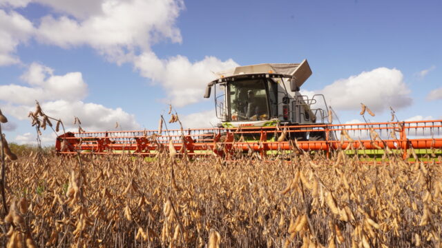 LEXION 7600 DUALES DON00822 Por qué cosechar con CLAAS permite ahorrar casi medio millón de pesos por día