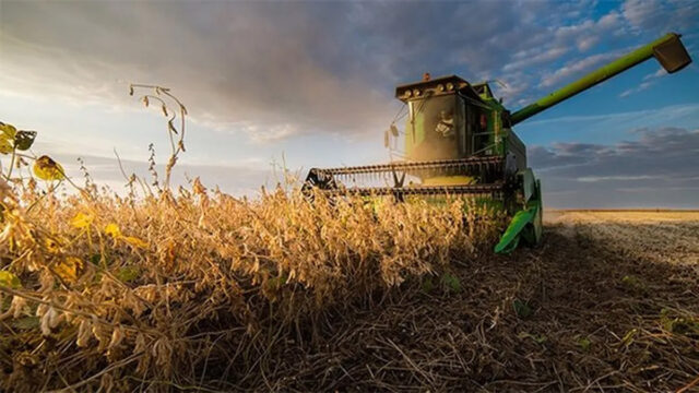 derechos ¿Qué efectos tendría la eliminación de los derechos de exportación sobre la producción, las exportaciones y la recaudación fiscal en Argentina?